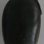 Le Grand dytique Martinique